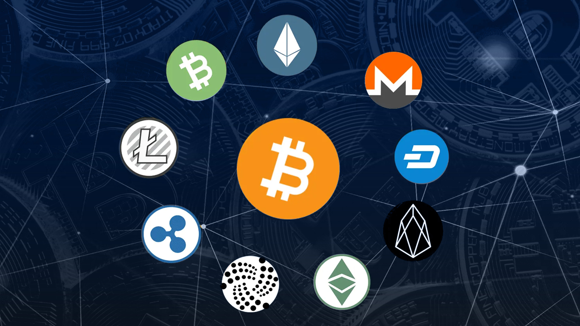 Popularidad de las altcoins – Crixto Popularidad de las altcoins - Crixto